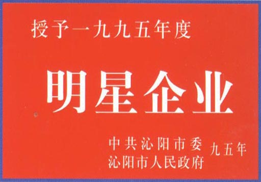 明星（xīng）企（qǐ）業
